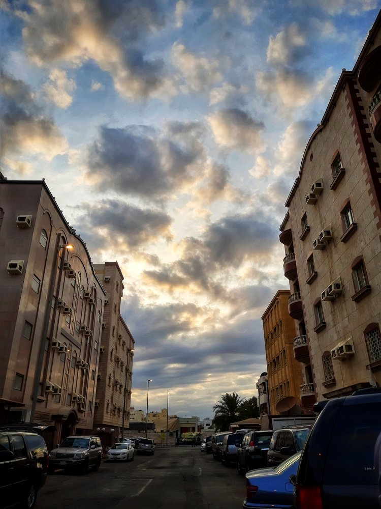 Photo #4130736
