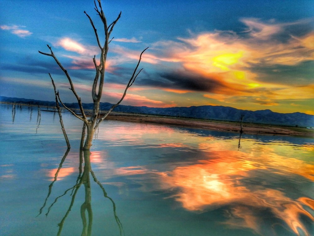 Photograph by Michael Holloway