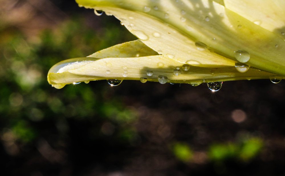 Photograph by Надежда Чернецкая