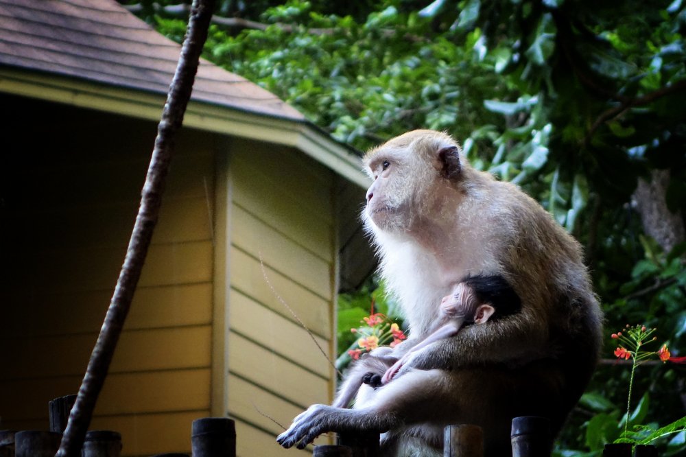 Photograph by Александр Козленков