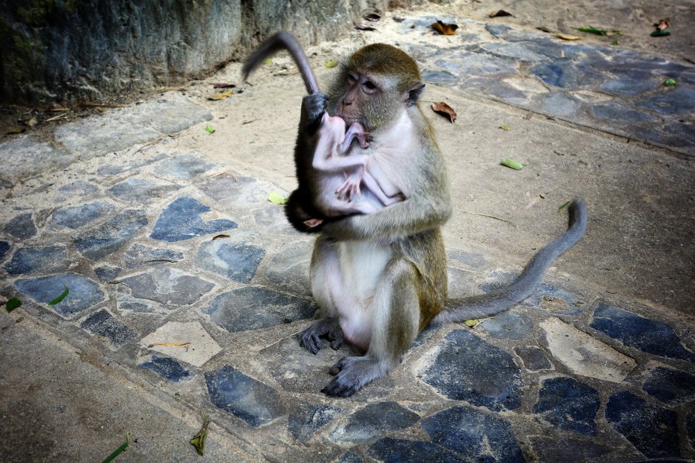 Photograph by Александр Козленков