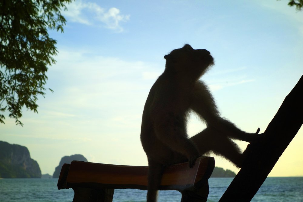 Photograph by Александр Козленков