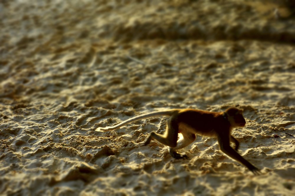 Photograph by Александр Козленков