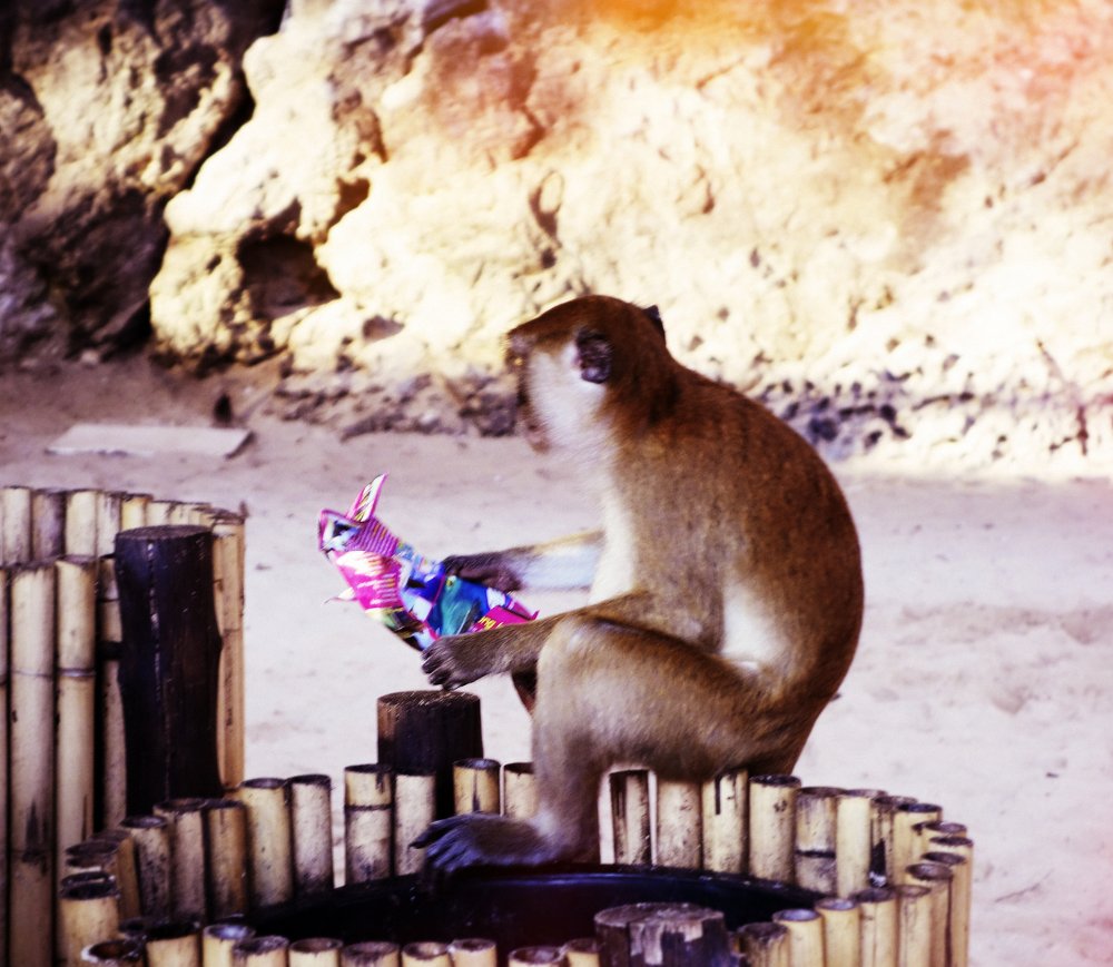 Photograph by Александр Козленков