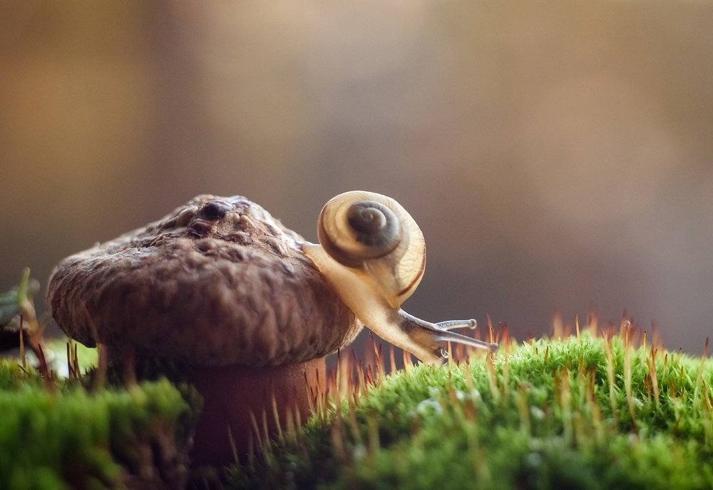 На пути к большим мечтам