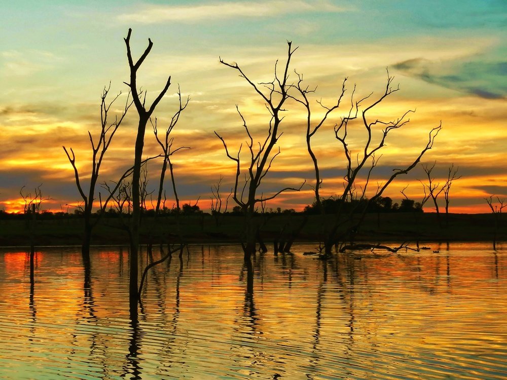 Photograph by Michael Holloway