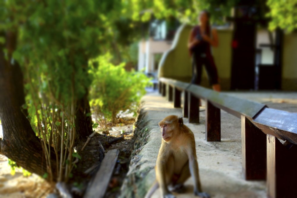 Photograph by Александр Козленков