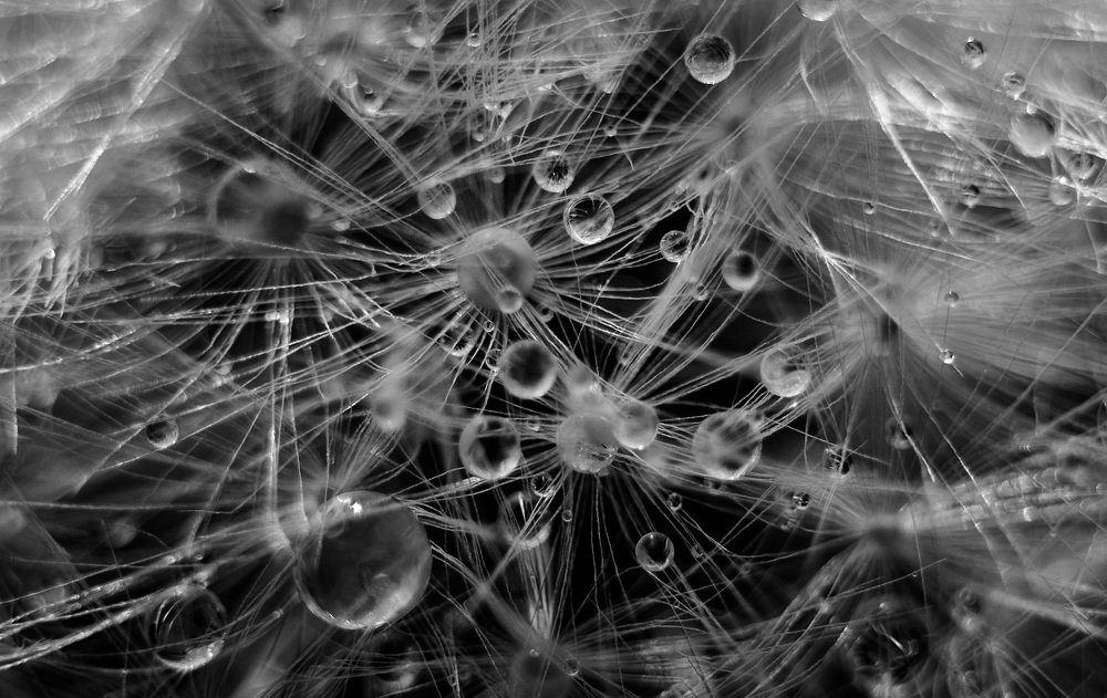 Нити событий