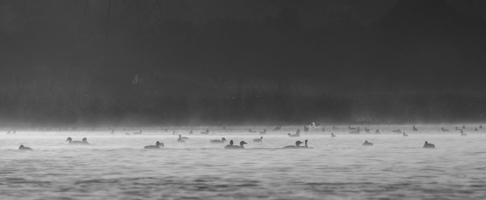 Photograph by Vedant rastogi