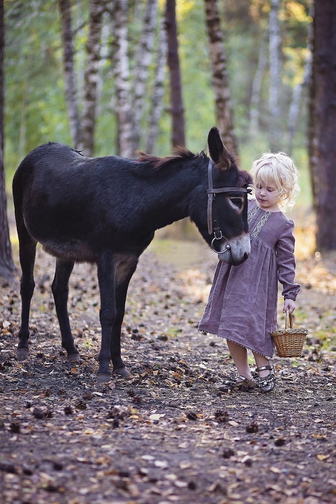 Photograph by Гимельфарб Кирилл