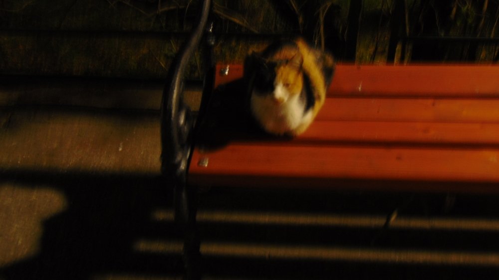 Photograph by Zdravko Ponorac