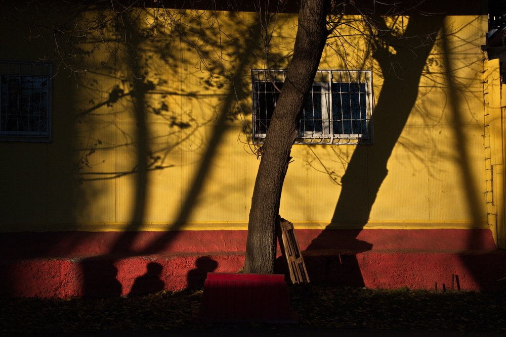 Photograph by Oleg M Kulishov