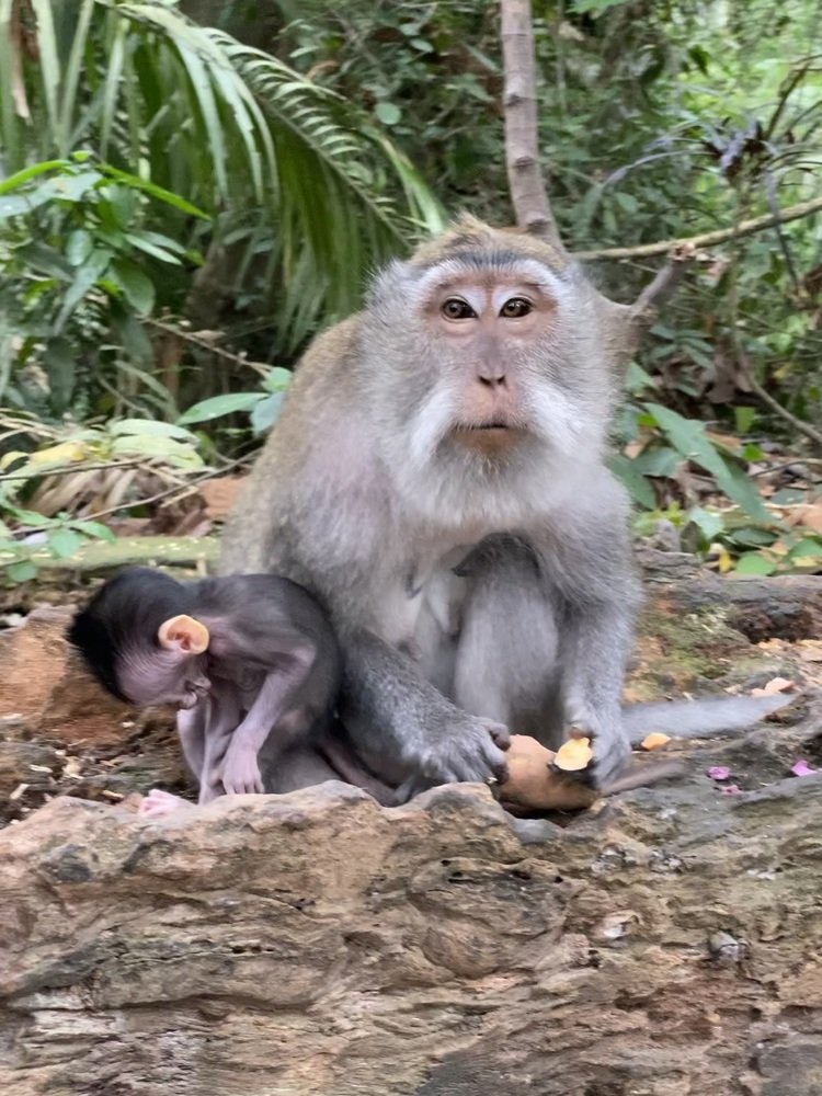 Photograph by Danny Rustandi