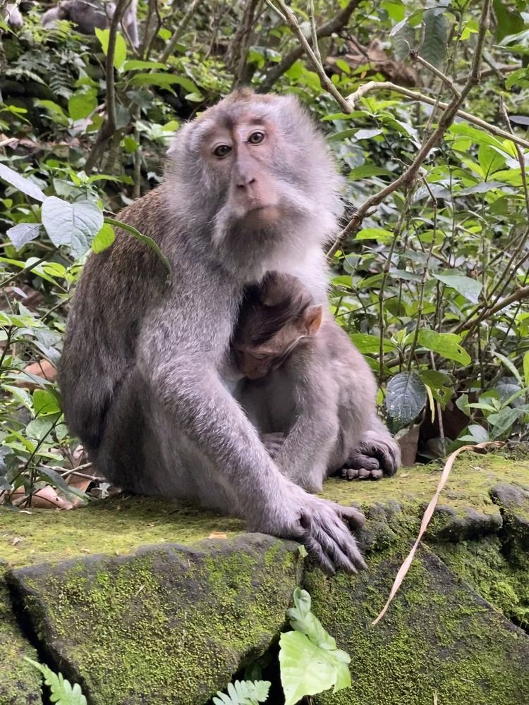 Photograph by Danny Rustandi