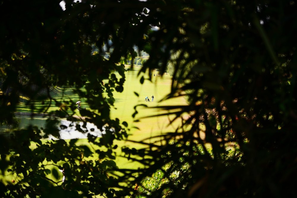 Photograph by Nazmus Saadat Sakib