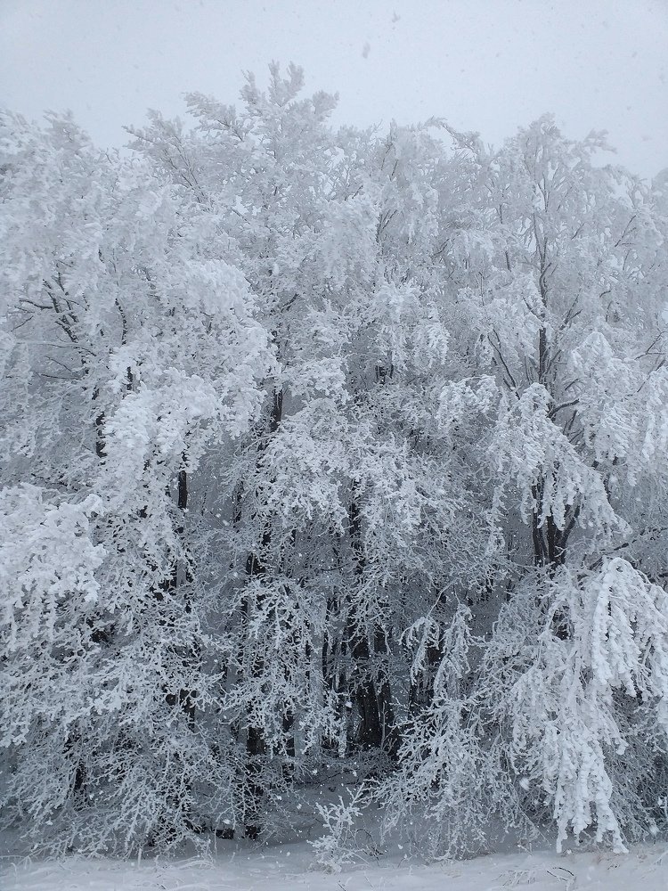 Photograph by Yury Vasenda