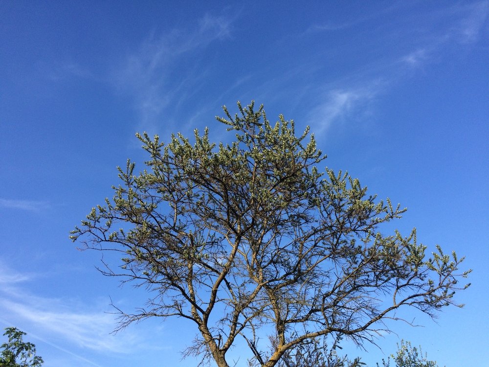 Photograph by Марина Колпакова