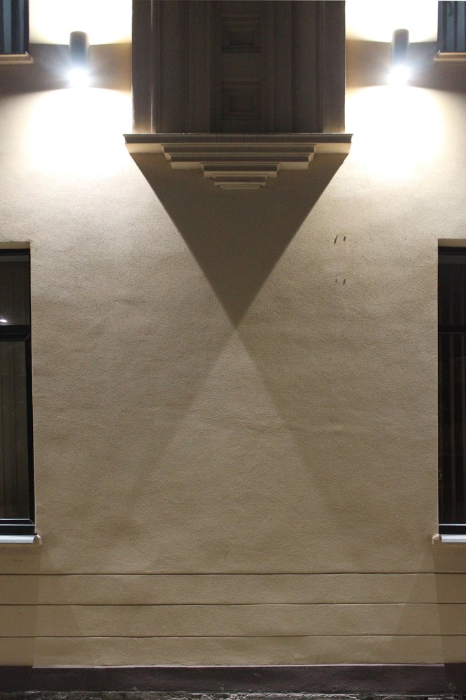 городской львенок