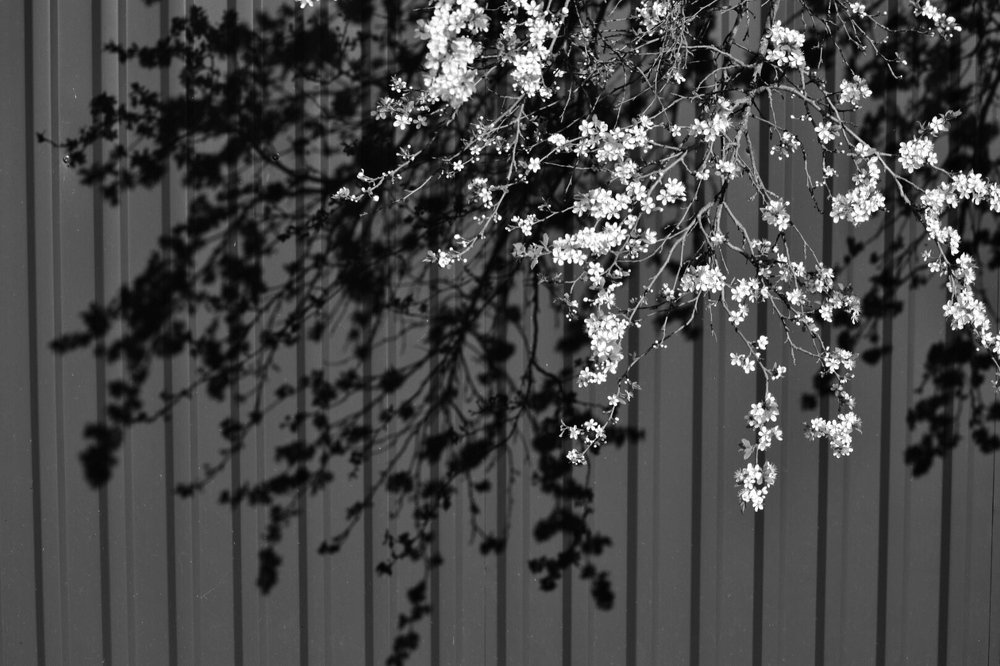 Photograph by Марина Колпакова