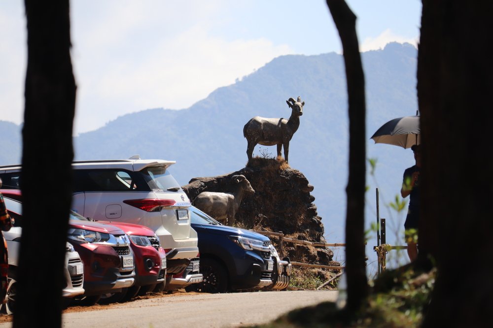 Photograph by  Reena