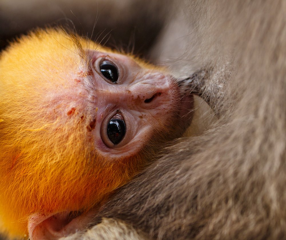 Photograph by Stranger Ksenia