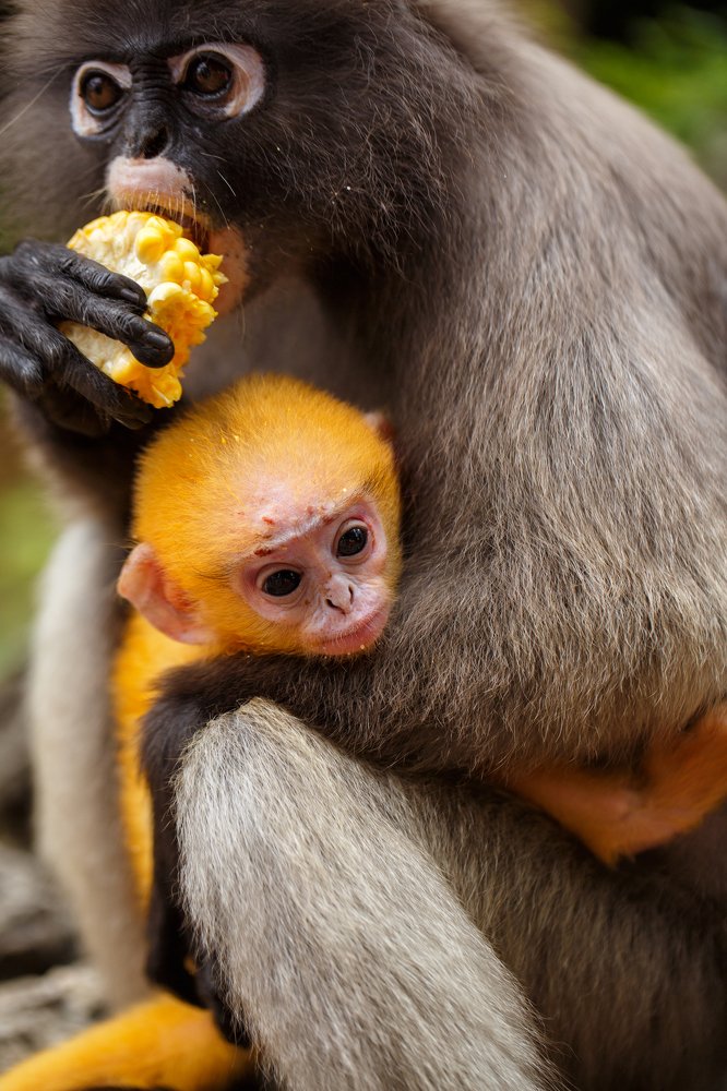 Photograph by Stranger Ksenia