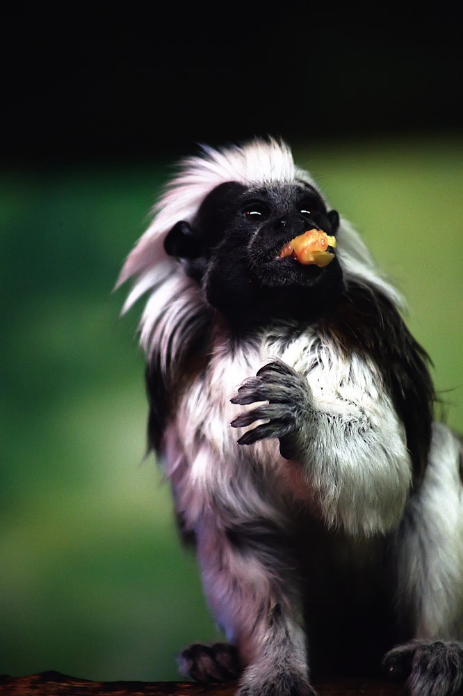 Жизнь не так уж плоха.