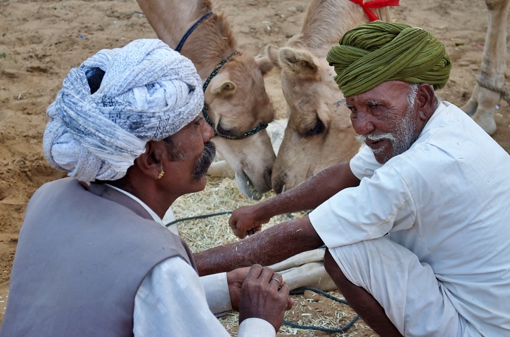 Фотография автора Afzal Khan