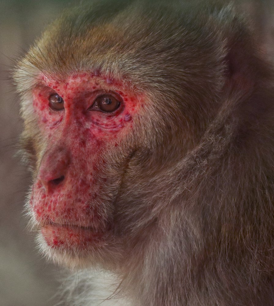 Photograph by Shubham Singh