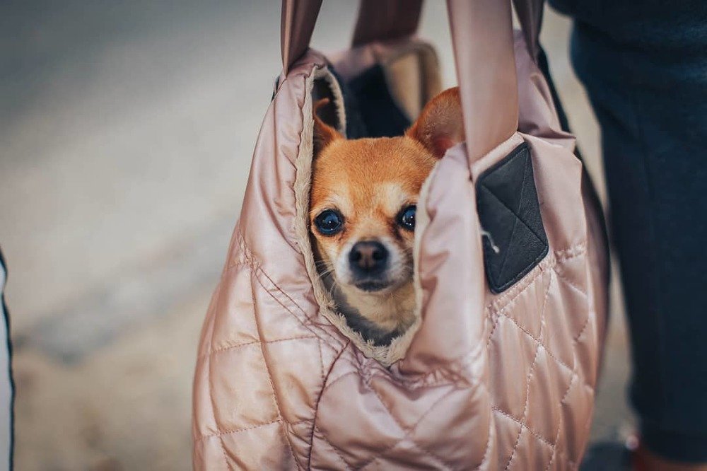 Photograph by Дмитрий Логвиненко