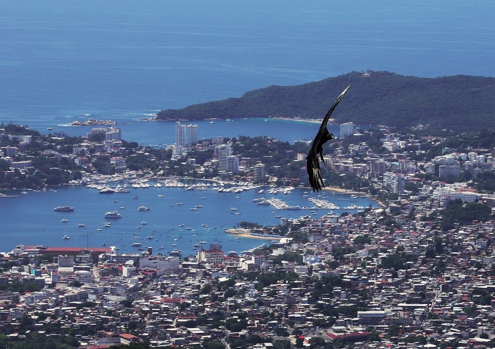 Photograph by Edgar Enríquez