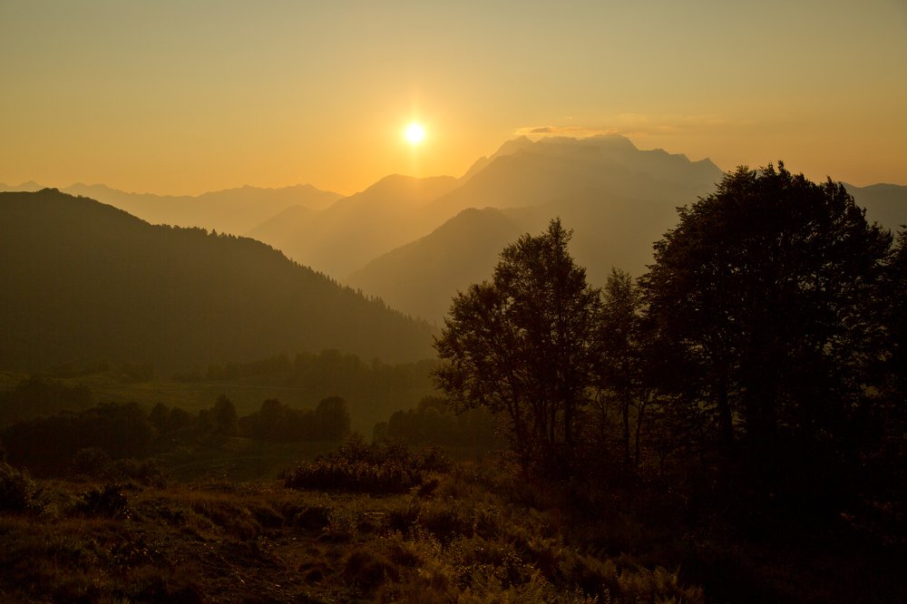 Photograph by Дарья Юсарева