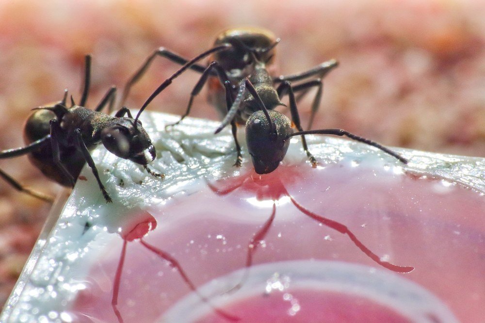 Photograph by Miona Lee