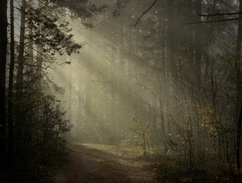 Фотография автора Камиль Хайрутдинов