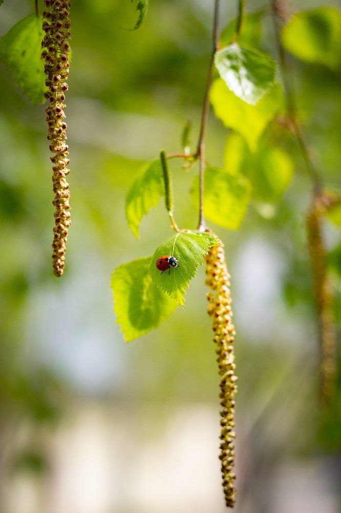 Photograph by Иван Балаболкин
