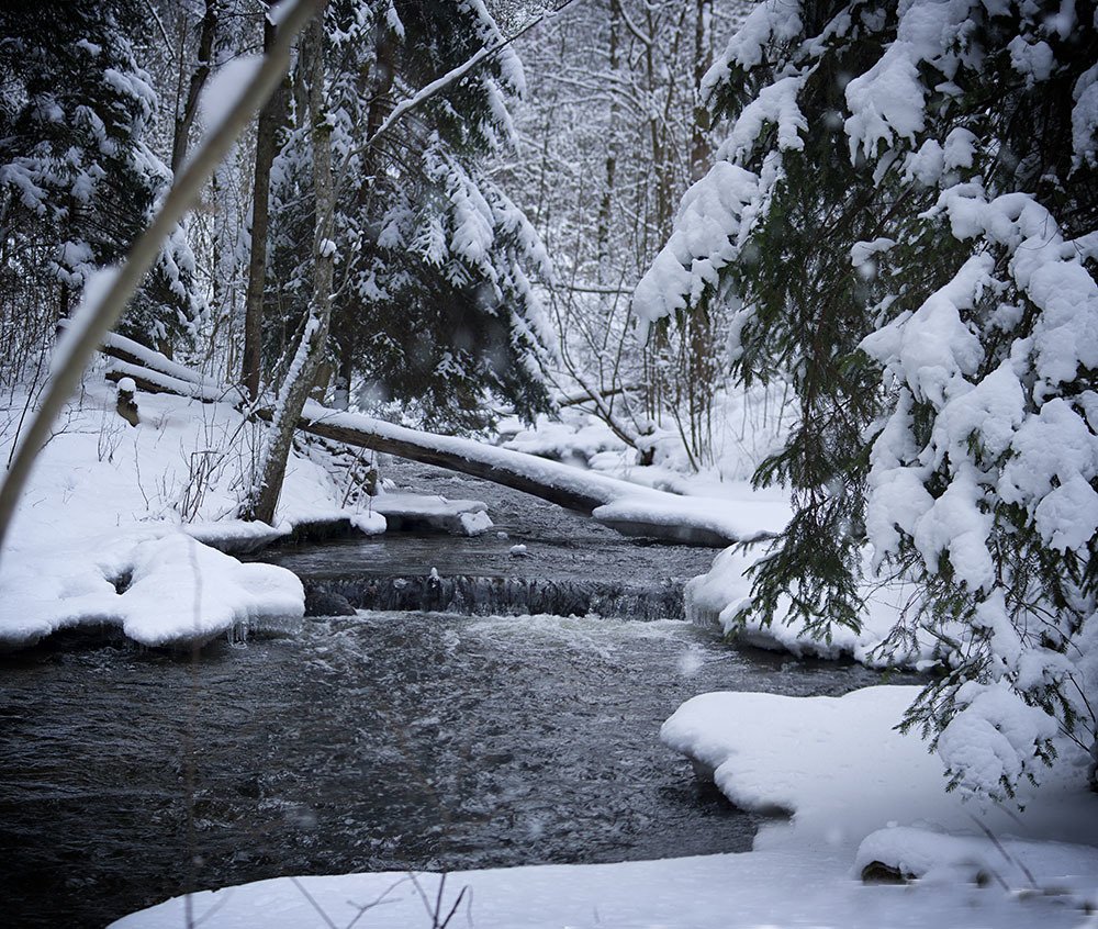 Photograph by Marina Lucenko