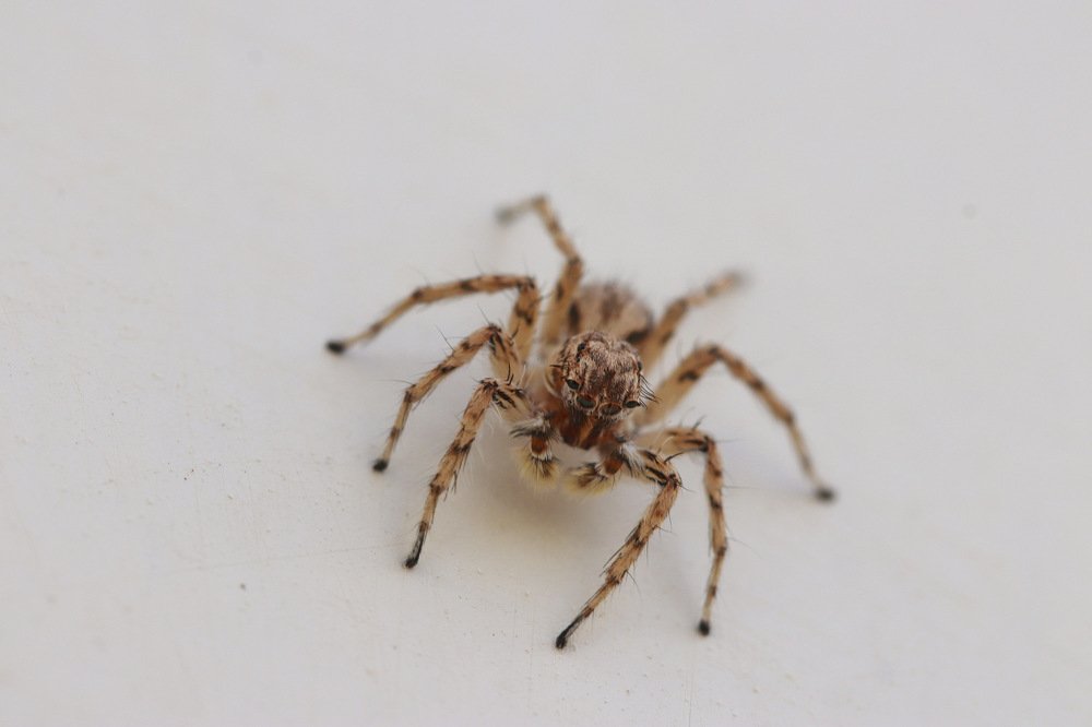 Photograph by Каролина Дидур