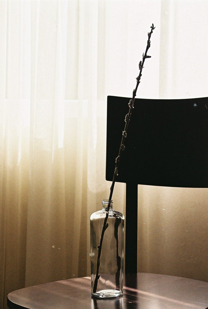 Photo #4132148