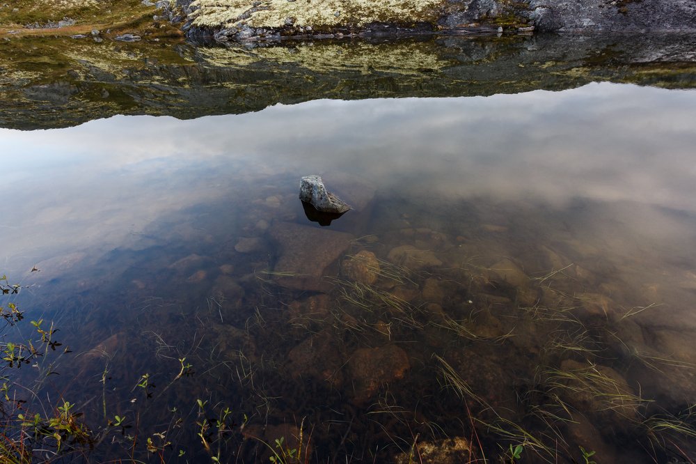 Photograph by Александр Ильин