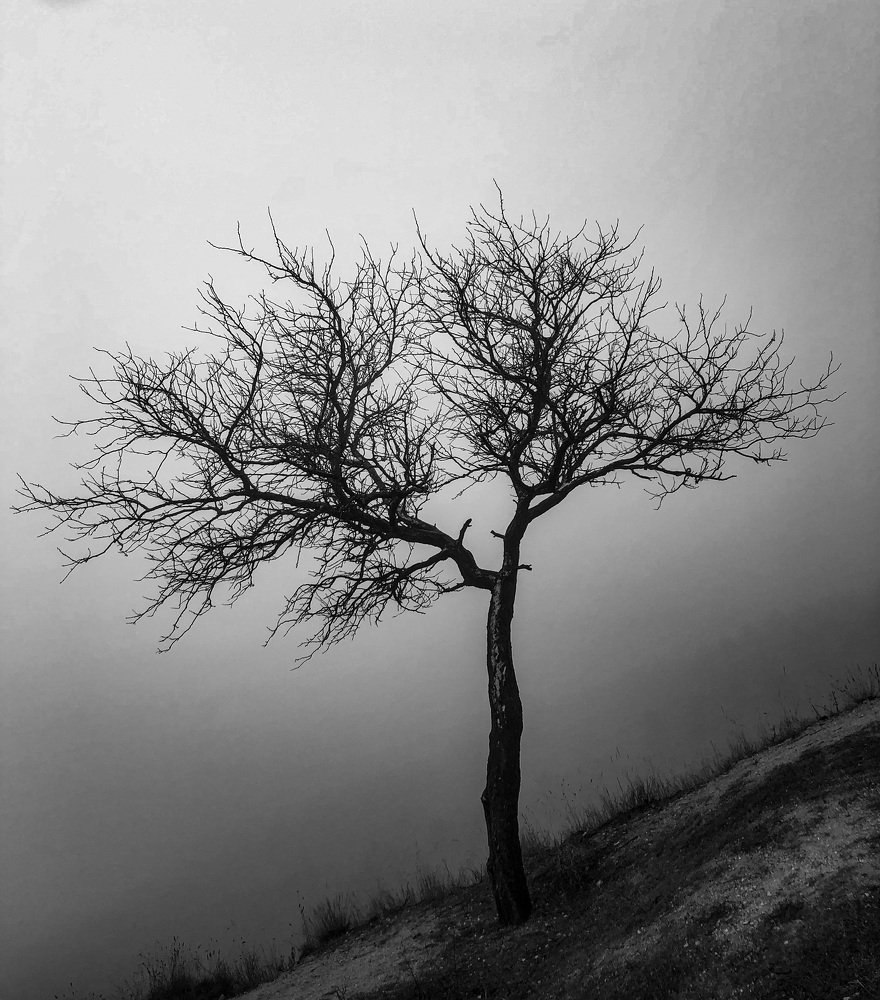 Photograph by Дмитрий Цепа