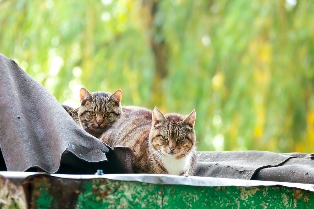 Photograph by Вячеслав Рудинский