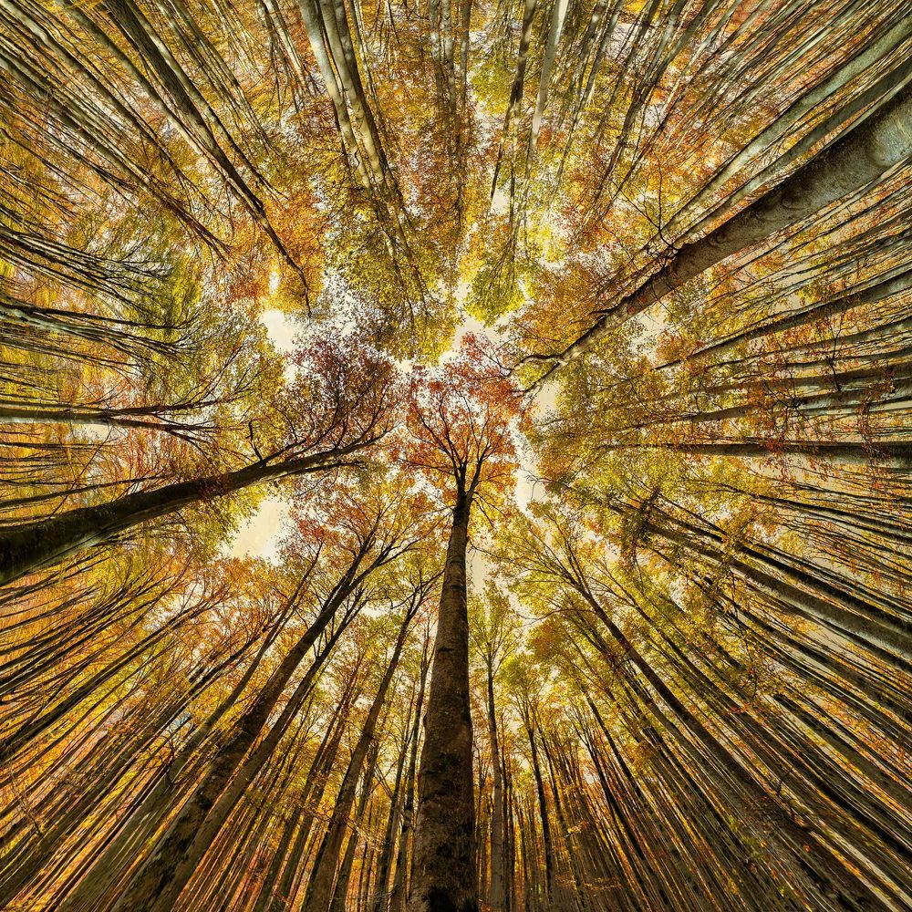 Photograph by Mohammad sadegh Abedi hamedani