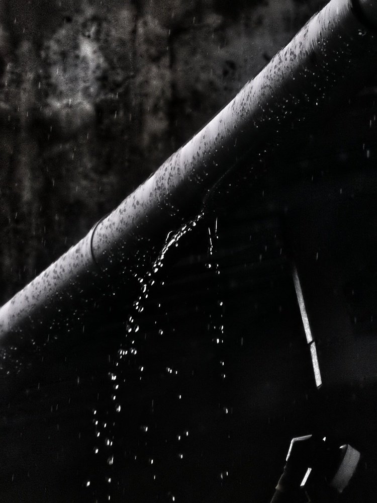 Фотография автора Suba Kumaresan