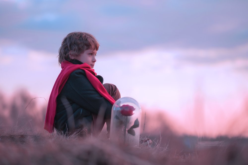 Маленький Принц