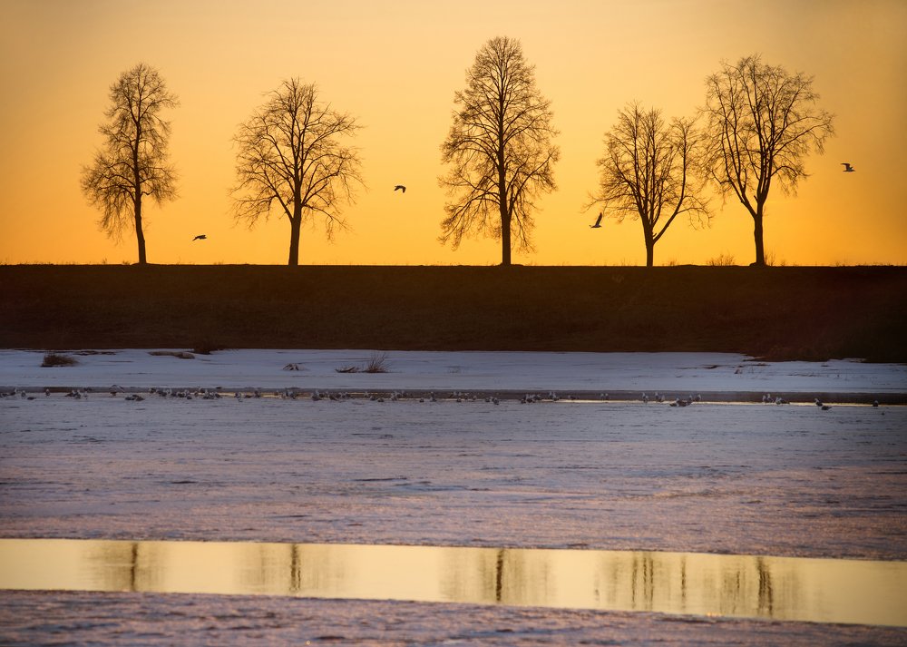 Photograph by Svetlana Pokule