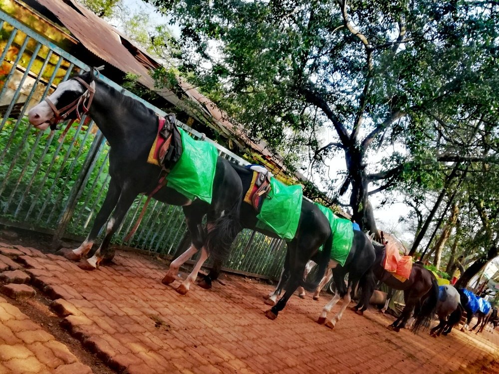 Фотография автора Suba Kumaresan