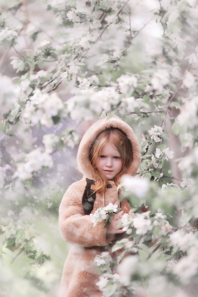 Photograph by Наталья Шкроб