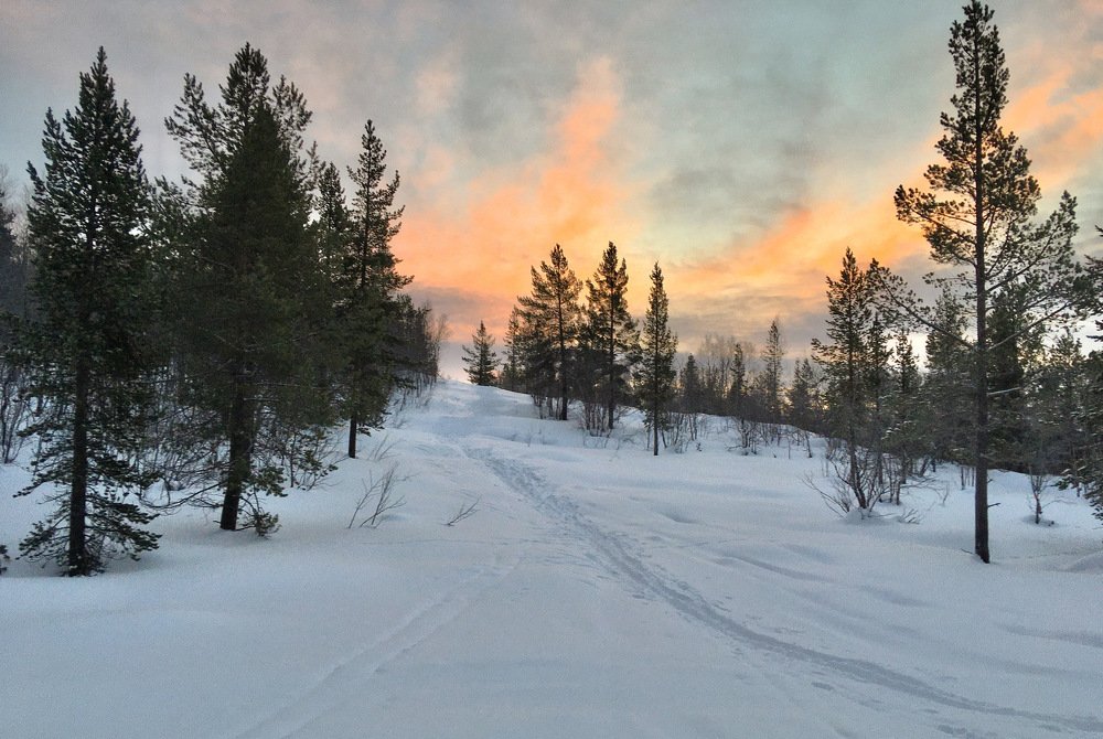 Рождественский пейзаж