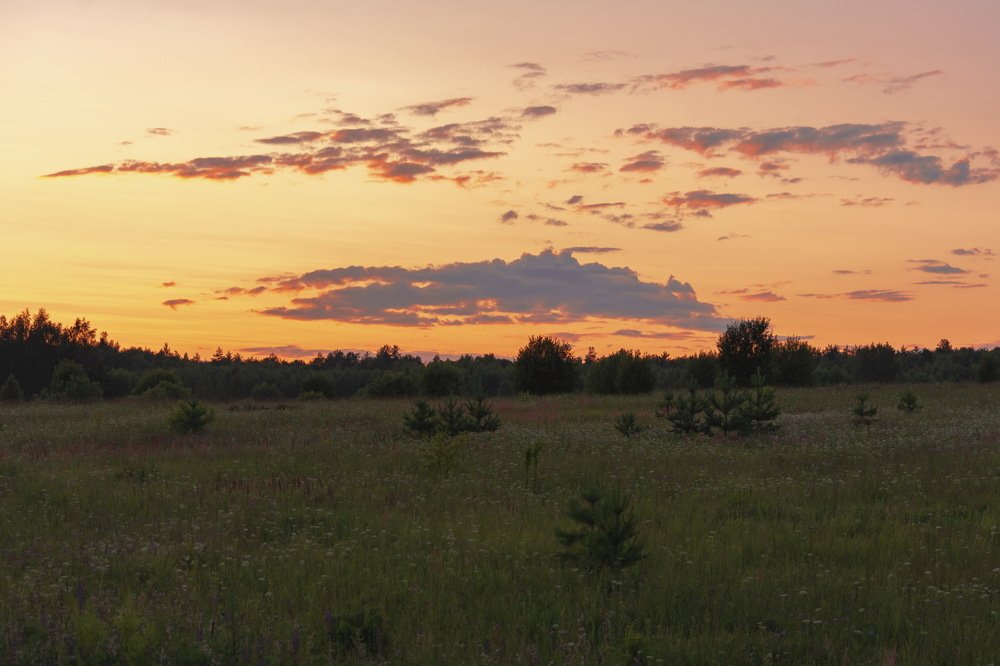 Закат в августе.