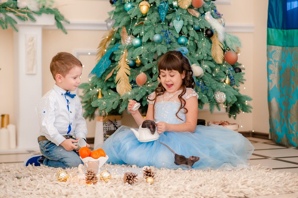 Новогодний сюрприз